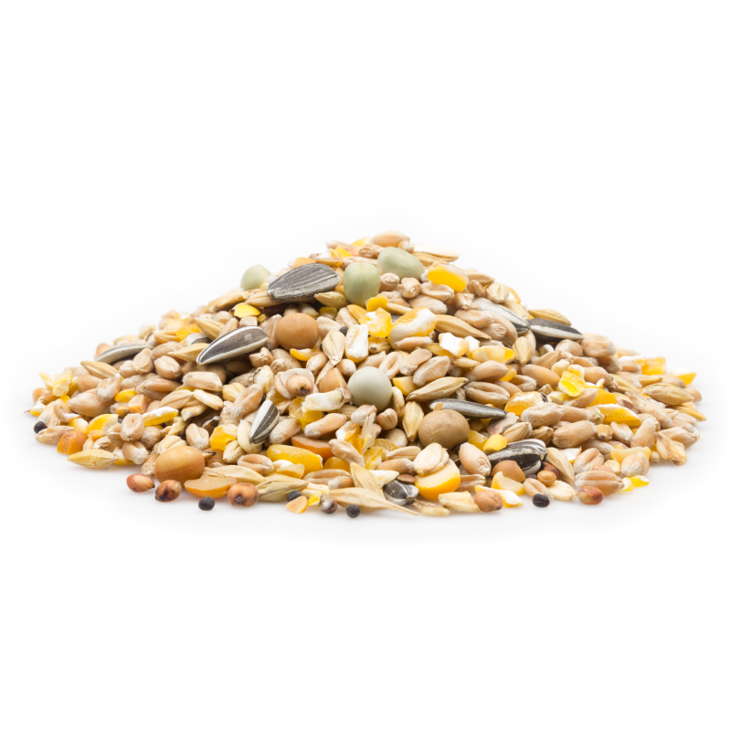MIFUMA Geflügel Premium 12-Korn Körnermix 25kg Sack