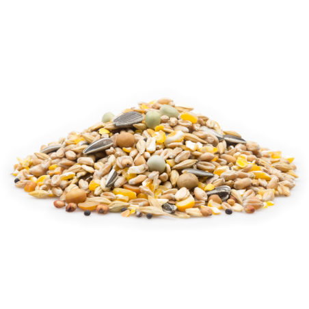 MIFUMA Geflügel Premium 12-Korn Körnermix 25kg Sack