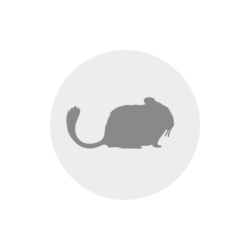 CAT´S BEST Universal 20ltr Beutel