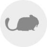 CAT´S BEST Universal 20ltr Beutel