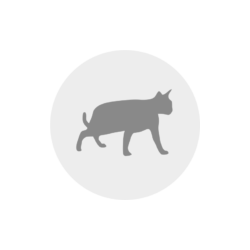CAT´S BEST Universal 20ltr Beutel