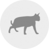 CAT´S BEST Universal 20ltr Beutel