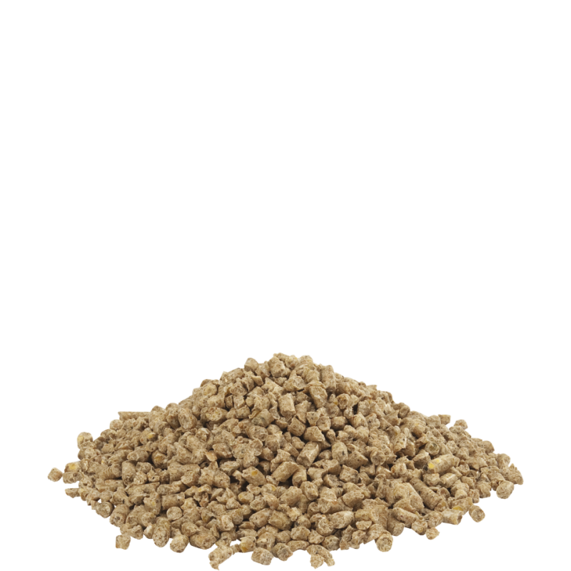COUNTRY`S BEST Hühner Gold 4 Basic Crumble 20kg Sack