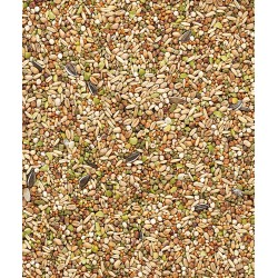 COUNTRY´S BEST Snack Garden Mix 1kg