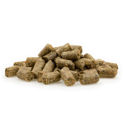 MIFUMA Pferd Leckerli Apfel-Karotte 1kg Sackerl