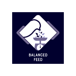 EXPERT Papagei Premium grob 15kg Sack