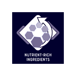 EXPERT Papagei Geringer Fettgehalt 15kg Sack