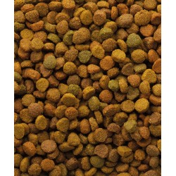 copy of Versele Laga CLASSIC CAT Variety 10kg Sack