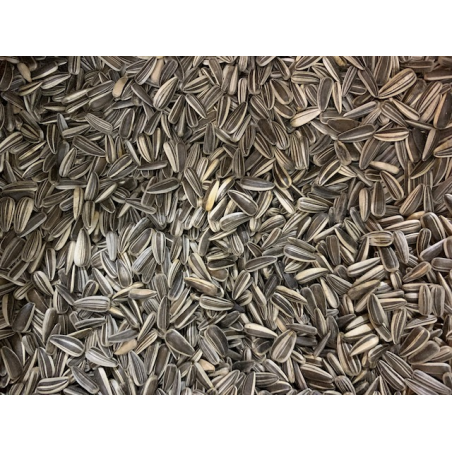 copy of FUTTERTREFF Sonnenblumen gestreift 20kg Sack