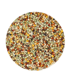 TRADITIONAL Premium Activ Life Zucht 20kg Sack