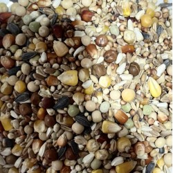 copy of CLASSIC Allround Basic 20kg Sack