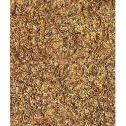 ORLUX Aufzuchtfutter Zierfasane und Zierwachteln 1kg Box