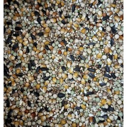 TRADITIONAL Premium Active Life Schneider 20kg Sack