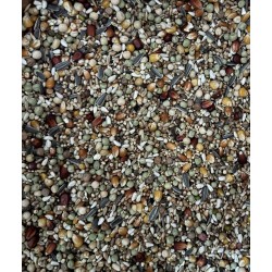 TRADITIONAL Premium Activ Life Zucht 20kg Sack