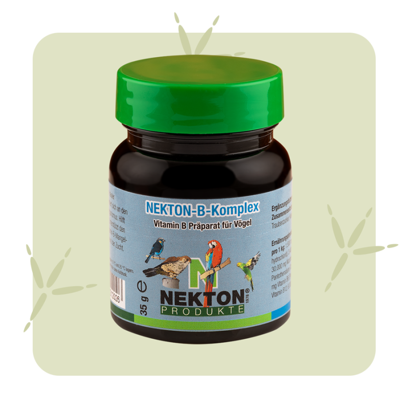 NEKTON B Komplex 35g Dose