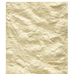 copy of NUTRI BIRD Handmix 500g Dose