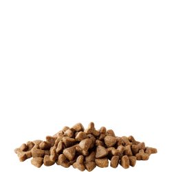 COMPLETE Ferret 10kg Sack