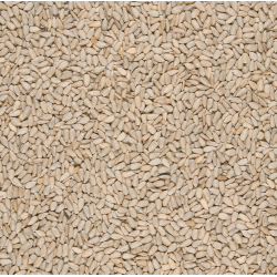 Sonnenblumen geschält A-Qualität 25kg Sack