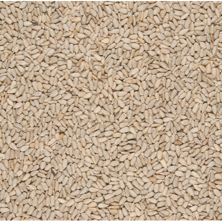 Sonnenblumen geschält A-Qualität 25kg Sack